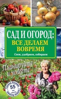Галина Кизима - Сад и огород: все делаем вовремя. Сеем, удобряем, собираем - Читать 📖 Читать онлайн 👀 Читаемые книги читать онлайн бесплатно 🔥 booksread-online.com