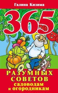 Галина Кизима - 365 разумных советов садоводам и огородникам - Читать 📖 Читать онлайн 👀 Читаемые книги читать онлайн бесплатно 🔥 booksread-online.com