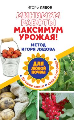 Игорь Лядов - Минимум работы, максимум урожая! Метод Игоря Лядова для любой почвы - Читать 📖 Читать онлайн 👀 Читаемые книги читать онлайн бесплатно 🔥 booksread-online.com