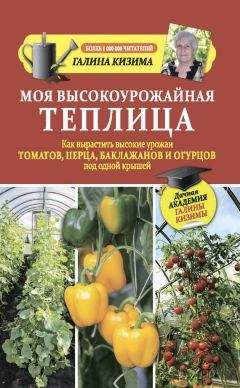 Галина Кизима - Моя высокоурожайная теплица. Как вырастить высокие урожаи томатов, перца, баклажанов и огурцов под одной крышей - Читать 📖 Читать онлайн 👀 Читаемые книги читать онлайн бесплатно 🔥 booksread-online.com