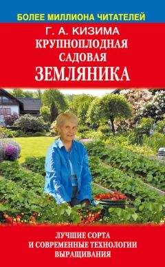 Галина Кизима - Крупноплодная садовая земляника. Лучшие сорта и современные технологии выращивания - Читать 📖 Читать онлайн 👀 Читаемые книги читать онлайн бесплатно 🔥 booksread-online.com