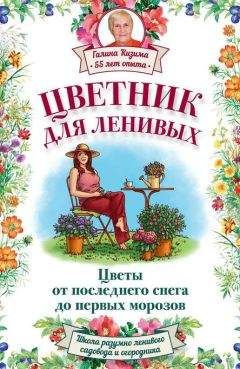 Галина Кизима - Цветник для ленивых. Цветы от последнего снега до первых морозов - Читать 📖 Читать онлайн 👀 Читаемые книги читать онлайн бесплатно 🔥 booksread-online.com