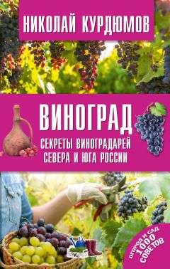 Николай Курдюмов - Виноград. Секреты виноградарей севера и юга России - Читать 📖 Читать онлайн 👀 Читаемые книги читать онлайн бесплатно 🔥 booksread-online.com
