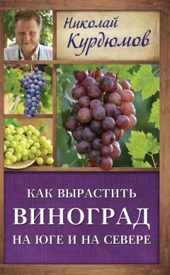 Николай Курдюмов - Как вырастить виноград на Юге и на Севере - Читать 📖 Читать онлайн 👀 Читаемые книги читать онлайн бесплатно 🔥 booksread-online.com