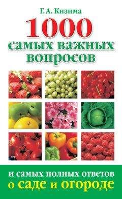 Галина Кизима - 1000 самых важных вопросов и самых полных ответов о саде и огороде - Читать 📖 Читать онлайн 👀 Читаемые книги читать онлайн бесплатно 🔥 booksread-online.com