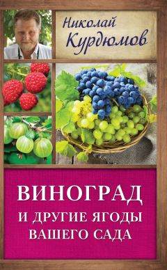 Николай Курдюмов - Виноград и другие ягоды вашего сада - Читать 📖 Читать онлайн 👀 Читаемые книги читать онлайн бесплатно 🔥 booksread-online.com