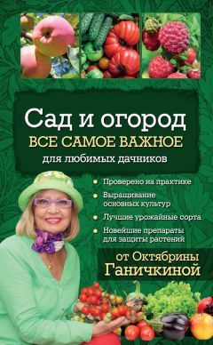 Александр Ганичкин - Сад и огород. Все самое важное для любимых дачников - Читать 📖 Читать онлайн 👀 Читаемые книги читать онлайн бесплатно 🔥 booksread-online.com
