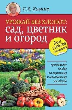 Галина Кизима - Урожай без хлопот: сад, цветник и огород - Читать 📖 Читать онлайн 👀 Читаемые книги читать онлайн бесплатно 🔥 booksread-online.com