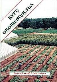 Джекоб Миттлайдер - Курс овощеводства по Миттлайдеру - Читать 📖 Читать онлайн 👀 Читаемые книги читать онлайн бесплатно 🔥 booksread-online.com