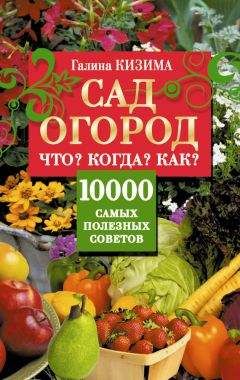 Галина Кизима - Сад и огород. Что? Когда? Как? 10000 самых полезных советов - Читать 📖 Читать онлайн 👀 Читаемые книги читать онлайн бесплатно 🔥 booksread-online.com