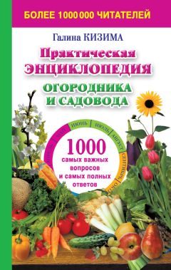 Галина Кизима - Практическая энциклопедия огородника и садовода. 1000 самых важных вопросов и самых полных ответов о саде и огороде - Читать 📖 Читать онлайн 👀 Читаемые книги читать онлайн бесплатно 🔥 booksread-online.com