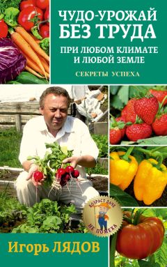Игорь Лядов - Чудо-урожай без труда. При любом климате и любой земле. Секреты успеха - Читать 📖 Читать онлайн 👀 Читаемые книги читать онлайн бесплатно 🔥 booksread-online.com