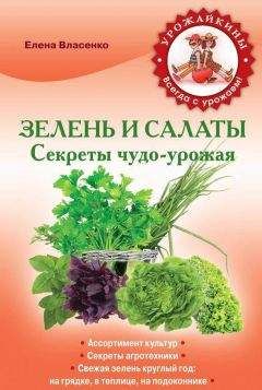 Елена Власенко - Зелень и салаты. Секреты чудо-урожая - Читать 📖 Читать онлайн 👀 Читаемые книги читать онлайн бесплатно 🔥 booksread-online.com