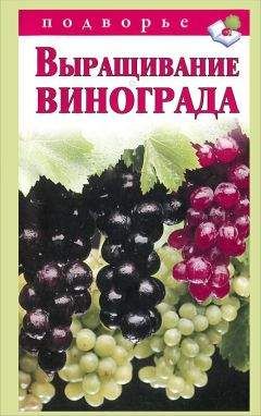 Виктор Горбунов - Выращивание винограда - Читать 📖 Читать онлайн 👀 Читаемые книги читать онлайн бесплатно 🔥 booksread-online.com
