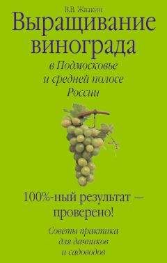 Виктор Жвакин - Выращивание винограда в Подмосковье и средней полосе России - Читать 📖 Читать онлайн 👀 Читаемые книги читать онлайн бесплатно 🔥 booksread-online.com