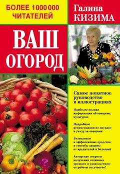 Галина Кизима - Ваш огород. Самое понятное руководство в иллюстрациях - Читать 📖 Читать онлайн 👀 Читаемые книги читать онлайн бесплатно 🔥 booksread-online.com