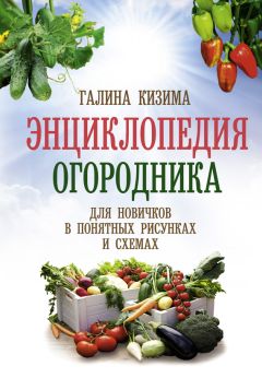 Галина Кизима - Энциклопедия огородника для новичков в понятных рисунках и схемах. Увидел – повтори - Читать 📖 Читать онлайн 👀 Читаемые книги читать онлайн бесплатно 🔥 booksread-online.com