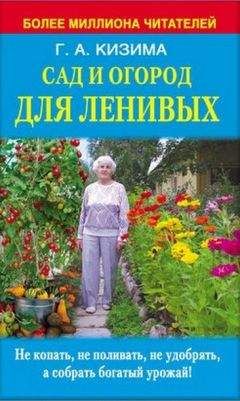 Галина Кизима - Сад и огород для ленивых. Не копать, не поливать, не удобрять, а собирать богатый урожай - Читать 📖 Читать онлайн 👀 Читаемые книги читать онлайн бесплатно 🔥 booksread-online.com