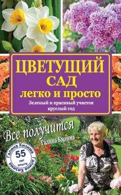Галина Кизима - Цветущий сад легко и просто. Зеленый и красивый участок круглый год - Читать 📖 Читать онлайн 👀 Читаемые книги читать онлайн бесплатно 🔥 booksread-online.com