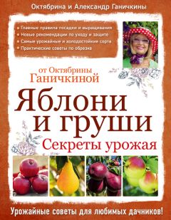 Октябрина Ганичкина - Яблони и груши: секреты урожая от Октябрины Ганичкиной - Читать 📖 Читать онлайн 👀 Читаемые книги читать онлайн бесплатно 🔥 booksread-online.com
