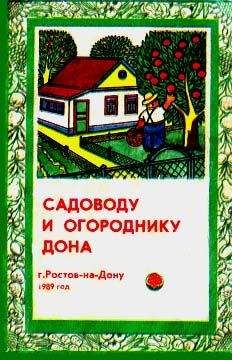 Н. Тыктин - Садоводу и огороднику Дона - Читать 📖 Читать онлайн 👀 Читаемые книги читать онлайн бесплатно 🔥 booksread-online.com