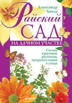 Александр Хаиль - Райский сад на дачном участке. Самые красивые растения, неприхотливые в уходе - Читать 📖 Читать онлайн 👀 Читаемые книги читать онлайн бесплатно 🔥 booksread-online.com