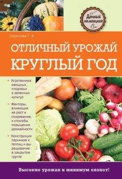 Галина Серикова - Отличный урожай круглый год - Читать 📖 Читать онлайн 👀 Читаемые книги читать онлайн бесплатно 🔥 booksread-online.com
