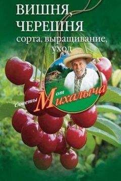 Николай Звонарев - Вишня, черешня. Сорта, выращивание, уход, заготовки - Читать 📖 Читать онлайн 👀 Читаемые книги читать онлайн бесплатно 🔥 booksread-online.com