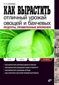 Павел Штейнберг - Как вырастить отличный урожай овощей и бахчевых. Рецепты, проверенные временем - Читать 📖 Читать онлайн 👀 Читаемые книги читать онлайн бесплатно 🔥 booksread-online.com