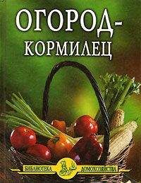 Иван Дубровин - Огород – кормилец - Читать 📖 Читать онлайн 👀 Читаемые книги читать онлайн бесплатно 🔥 booksread-online.com