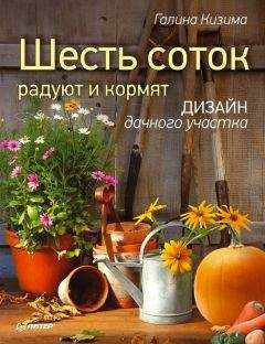 Галина Кизима - Шесть соток радуют и кормят. Дизайн дачного участка - Читать 📖 Читать онлайн 👀 Читаемые книги читать онлайн бесплатно 🔥 booksread-online.com