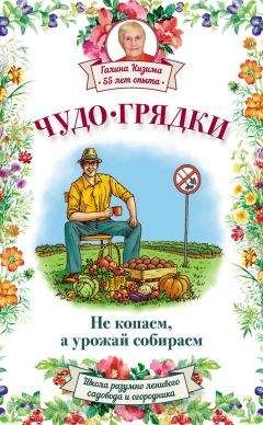 Галина Кизима - Чудо-грядки: не копаем, а урожай собираем - Читать 📖 Читать онлайн 👀 Читаемые книги читать онлайн бесплатно 🔥 booksread-online.com