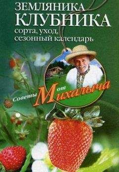 Николай Звонарев - Земляника. Клубника. Сорта, уход, сезонный календарь - Читать 📖 Читать онлайн 👀 Читаемые книги читать онлайн бесплатно 🔥 booksread-online.com