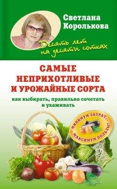 Светлана Королькова - Самые неприхотливые и урожайные сорта. Как выбирать, правильно сочетать и ухаживать - Читать 📖 Читать онлайн 👀 Читаемые книги читать онлайн бесплатно 🔥 booksread-online.com
