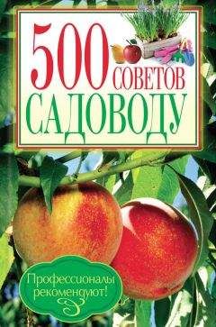 Юрий Бойчук - 500 советов садоводу - Читать 📖 Читать онлайн 👀 Читаемые книги читать онлайн бесплатно 🔥 booksread-online.com