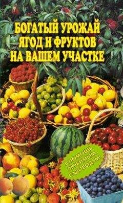 Ирина Муртазина - Богатый урожай ягод и фруктов на вашем участке. В помощь любимым садоводам! - Читать 📖 Читать онлайн 👀 Читаемые книги читать онлайн бесплатно 🔥 booksread-online.com