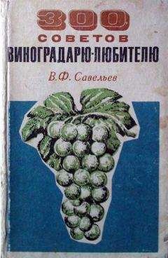 В. Савельев - 300 советов виноградарю-любителю - Читать 📖 Читать онлайн 👀 Читаемые книги читать онлайн бесплатно 🔥 booksread-online.com