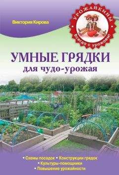 Виктория Кирова - Умные грядки для чудо-урожая - Читать 📖 Читать онлайн 👀 Читаемые книги читать онлайн бесплатно 🔥 booksread-online.com