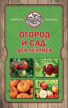 Тамара Руцкая - Огород и сад для лентяев - Читать 📖 Читать онлайн 👀 Читаемые книги читать онлайн бесплатно 🔥 booksread-online.com