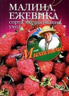 Николай Звонарев - Малина, ежевика. Сорта, выращивание, уход - Читать 📖 Читать онлайн 👀 Читаемые книги читать онлайн бесплатно 🔥 booksread-online.com