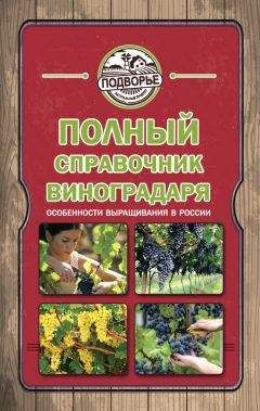 Тамара Руцкая - Полный справочник виноградаря. Особенности выращивания в России - Читать 📖 Читать онлайн 👀 Читаемые книги читать онлайн бесплатно 🔥 booksread-online.com