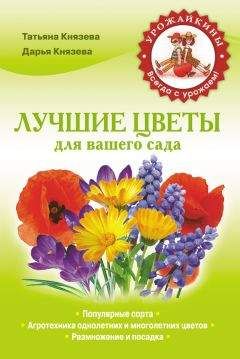 Дарья Князева - Лучшие цветы для вашего сада - Читать 📖 Читать онлайн 👀 Читаемые книги читать онлайн бесплатно 🔥 booksread-online.com