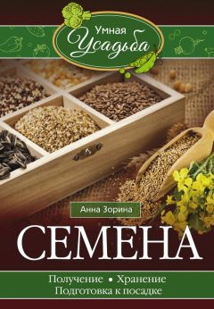 Анна Зорина - Семена. Получение, хранение, подготовка к посадке - Читать 📖 Читать онлайн 👀 Читаемые книги читать онлайн бесплатно 🔥 booksread-online.com