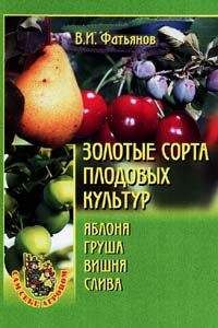 Владислав Фатьянов - Золотые сорта плодовых культур - Читать 📖 Читать онлайн 👀 Читаемые книги читать онлайн бесплатно 🔥 booksread-online.com