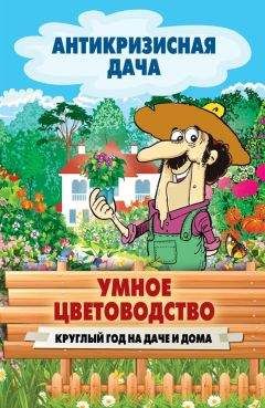 Сергей Кашин - Умное цветоводство круглый год на даче и дома - Читать 📖 Читать онлайн 👀 Читаемые книги читать онлайн бесплатно 🔥 booksread-online.com