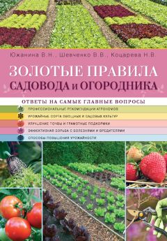 Владимир Шевченко - Золотые правила садовода и огородника - Читать 📖 Читать онлайн 👀 Читаемые книги читать онлайн бесплатно 🔥 booksread-online.com