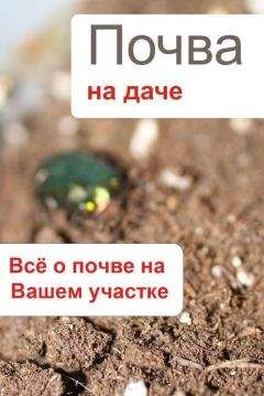 Илья Мельников - Почва на даче. Всё о почве на Вашем участке - Читать 📖 Читать онлайн 👀 Читаемые книги читать онлайн бесплатно 🔥 booksread-online.com