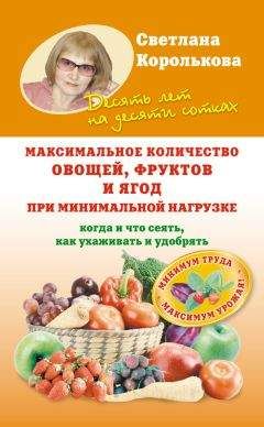 Светлана Королькова - Максимальное количество овощей, фруктов и ягод при минимальной нагрузке - Читать 📖 Читать онлайн 👀 Читаемые книги читать онлайн бесплатно 🔥 booksread-online.com