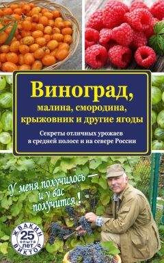 Виктор Жвакин - Виноград, малина, смородина, крыжовник и другие ягоды - Читать 📖 Читать онлайн 👀 Читаемые книги читать онлайн бесплатно 🔥 booksread-online.com