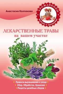 Анастасия Колпакова - Лекарственные травы вашем на участке - Читать 📖 Читать онлайн 👀 Читаемые книги читать онлайн бесплатно 🔥 booksread-online.com
